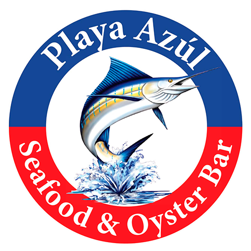 Playa Azul Seafood & Oyster Bar | The Best Restaurant in Houston